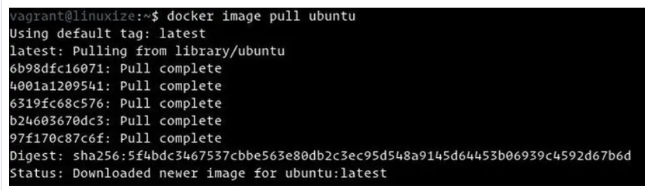 Docker Pull Image