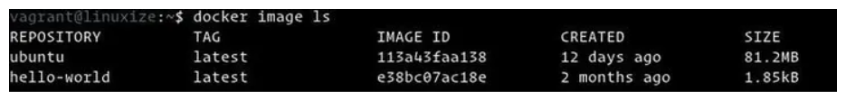 Docker List Image