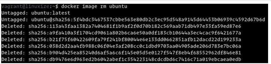 Docker Remove Image