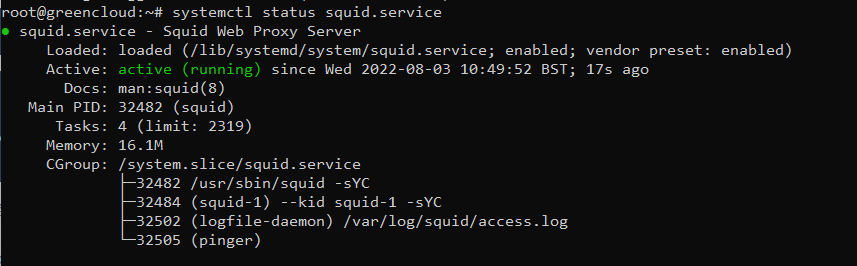 Nietje Schiereiland walgelijk How to Set Up Squid Proxy for Private Connections on Ubuntu 20.04 -  GreenCloud Documentation