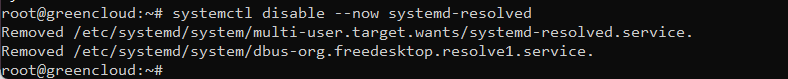 systemctl disable systemd-resolved terminal output